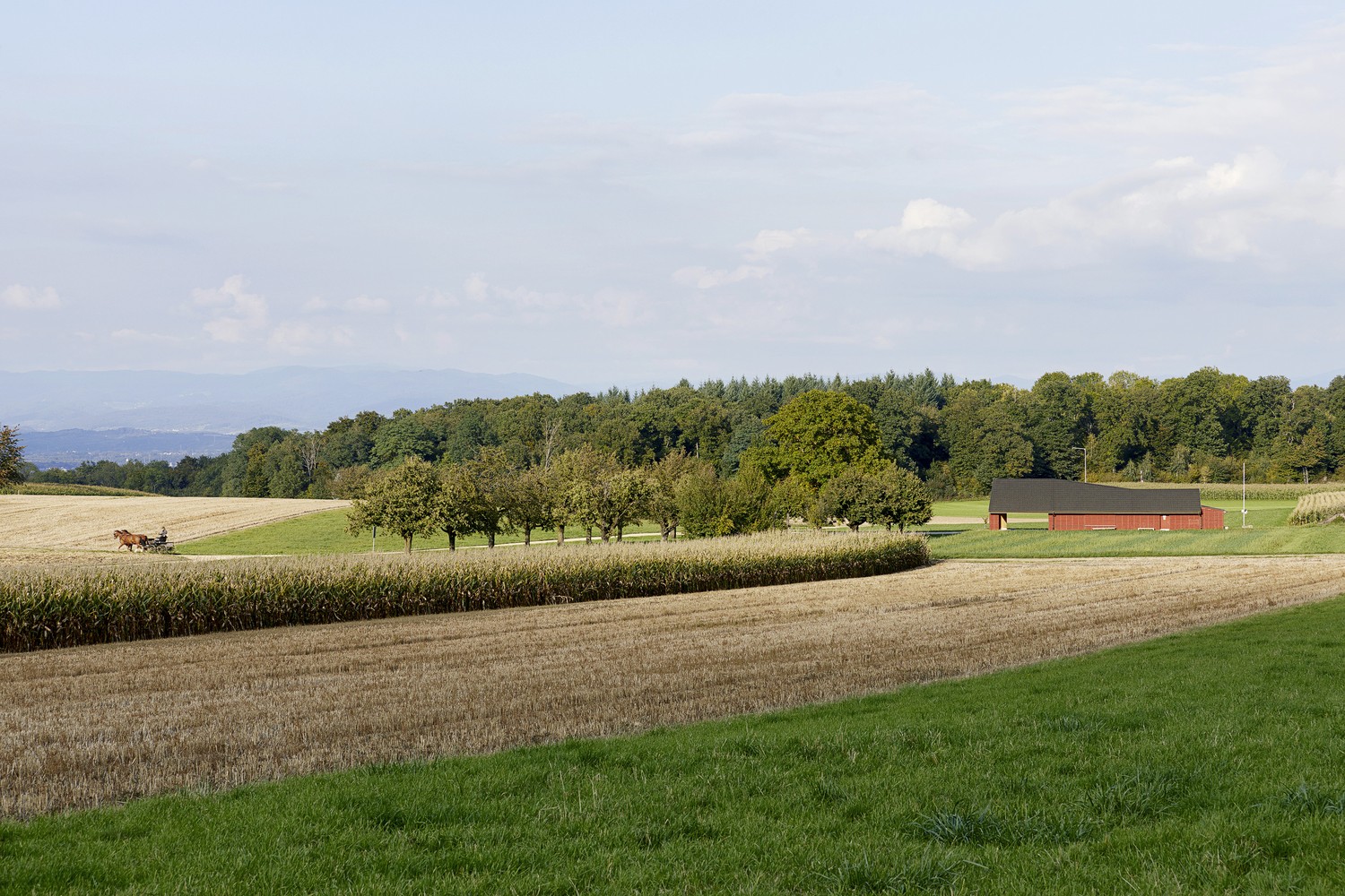 Appartamento di 3 ½ locali