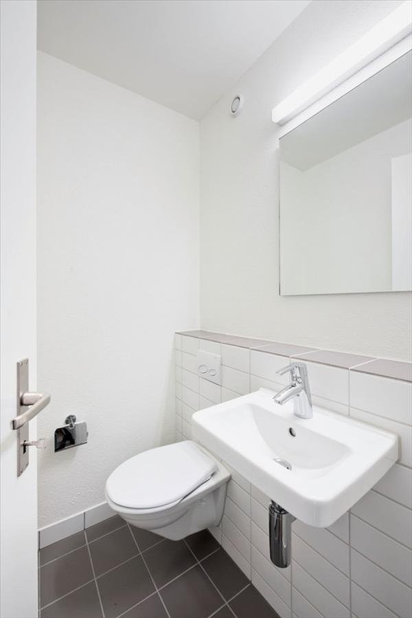4 ½ rooms apartment (6)