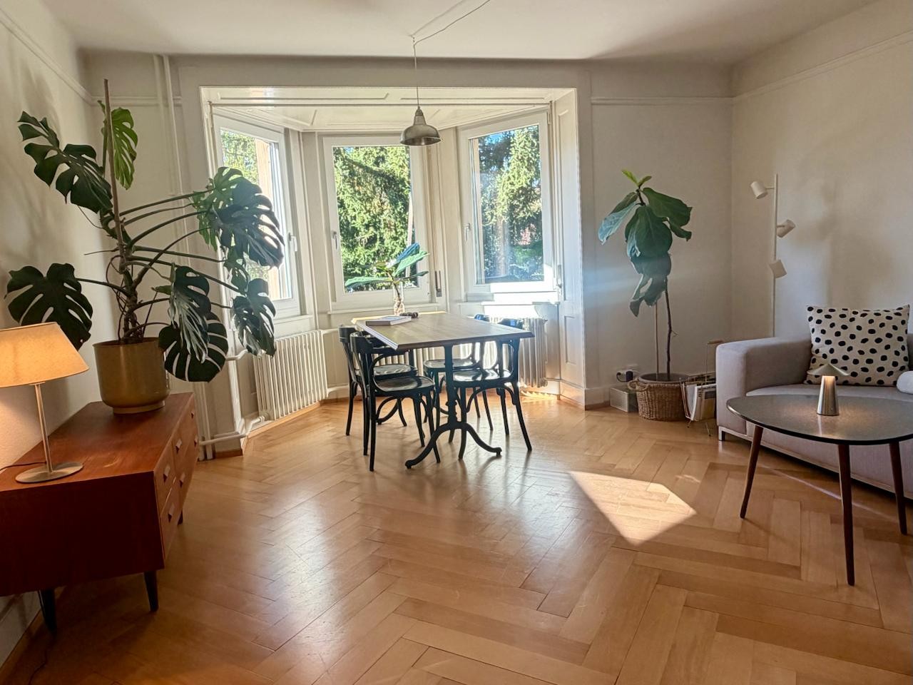 Appartement de 3 ½ pièces