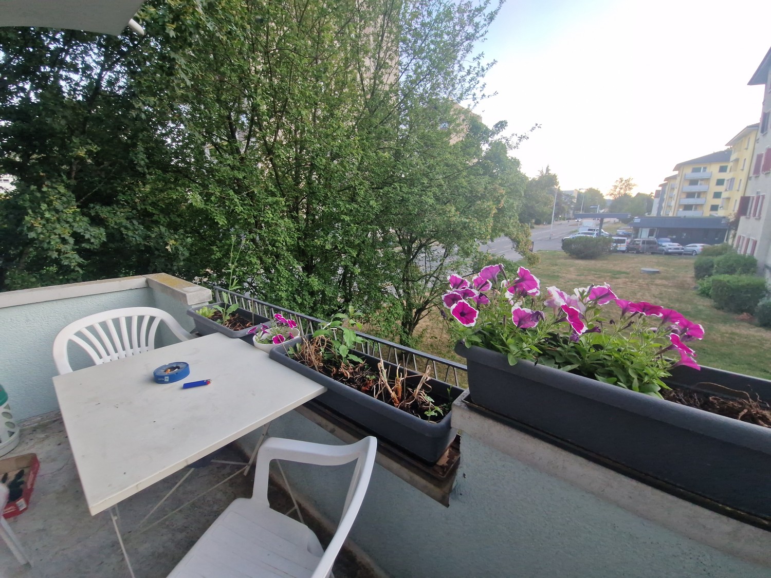 3 rooms apartment