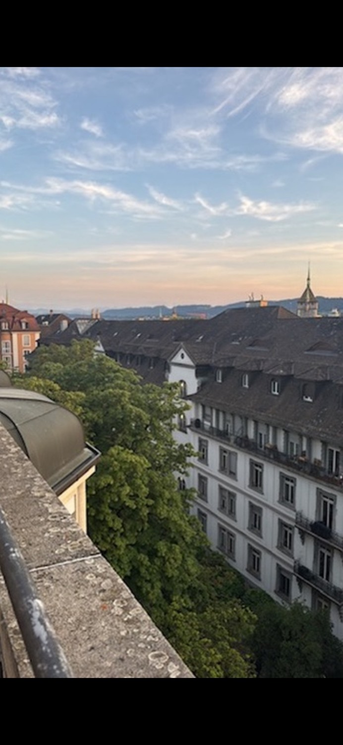 2 ½ Zimmer-Wohnung, Foto 6 von 10