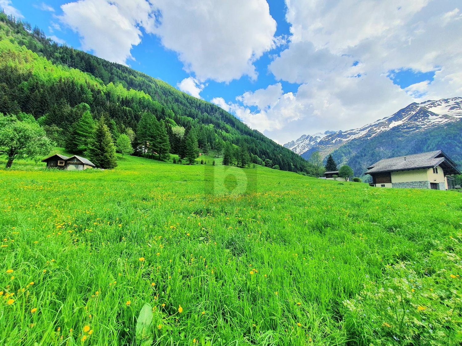 970m² Baugrundstück