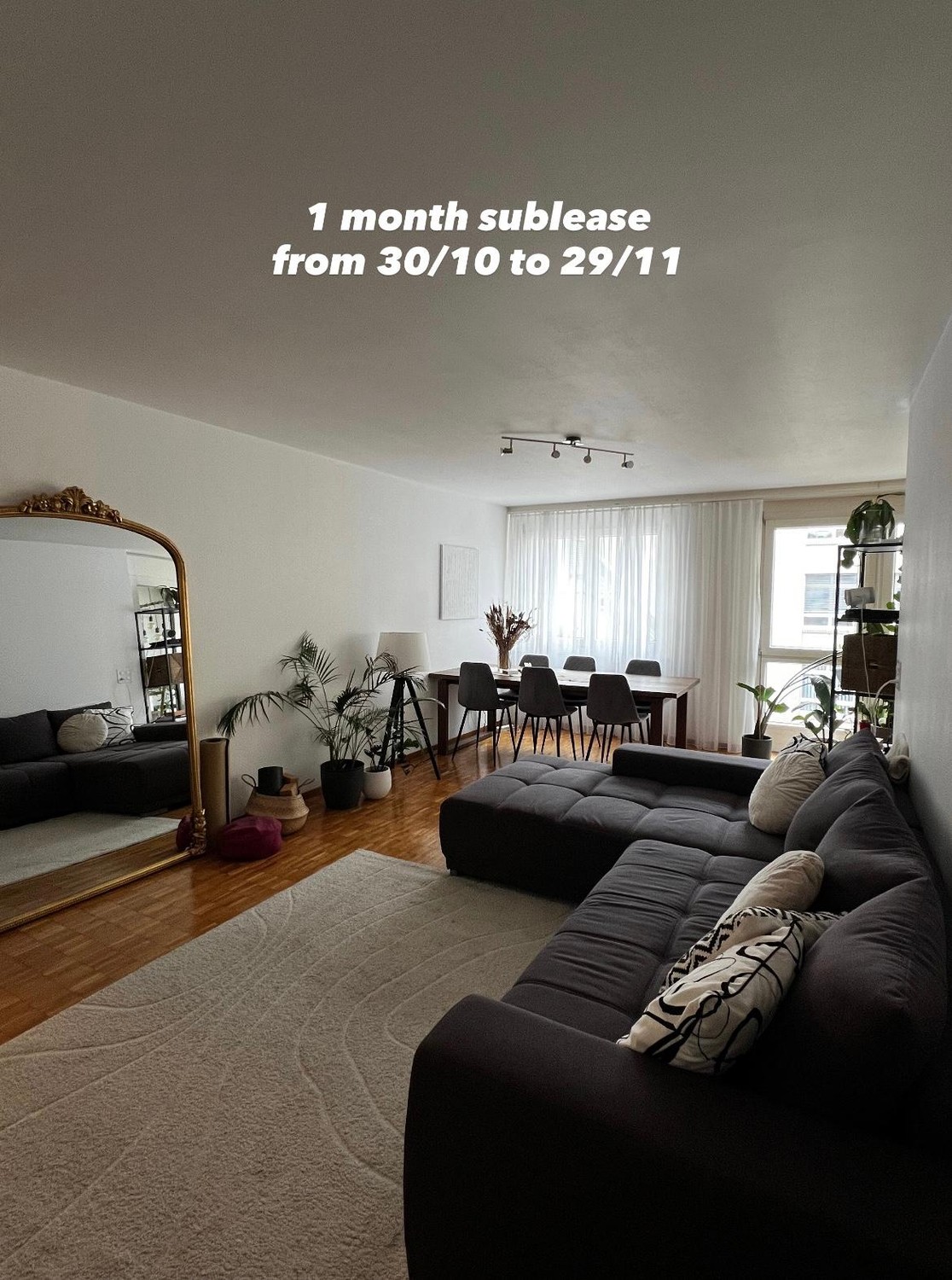 1 ½ Zimmer Wohnung