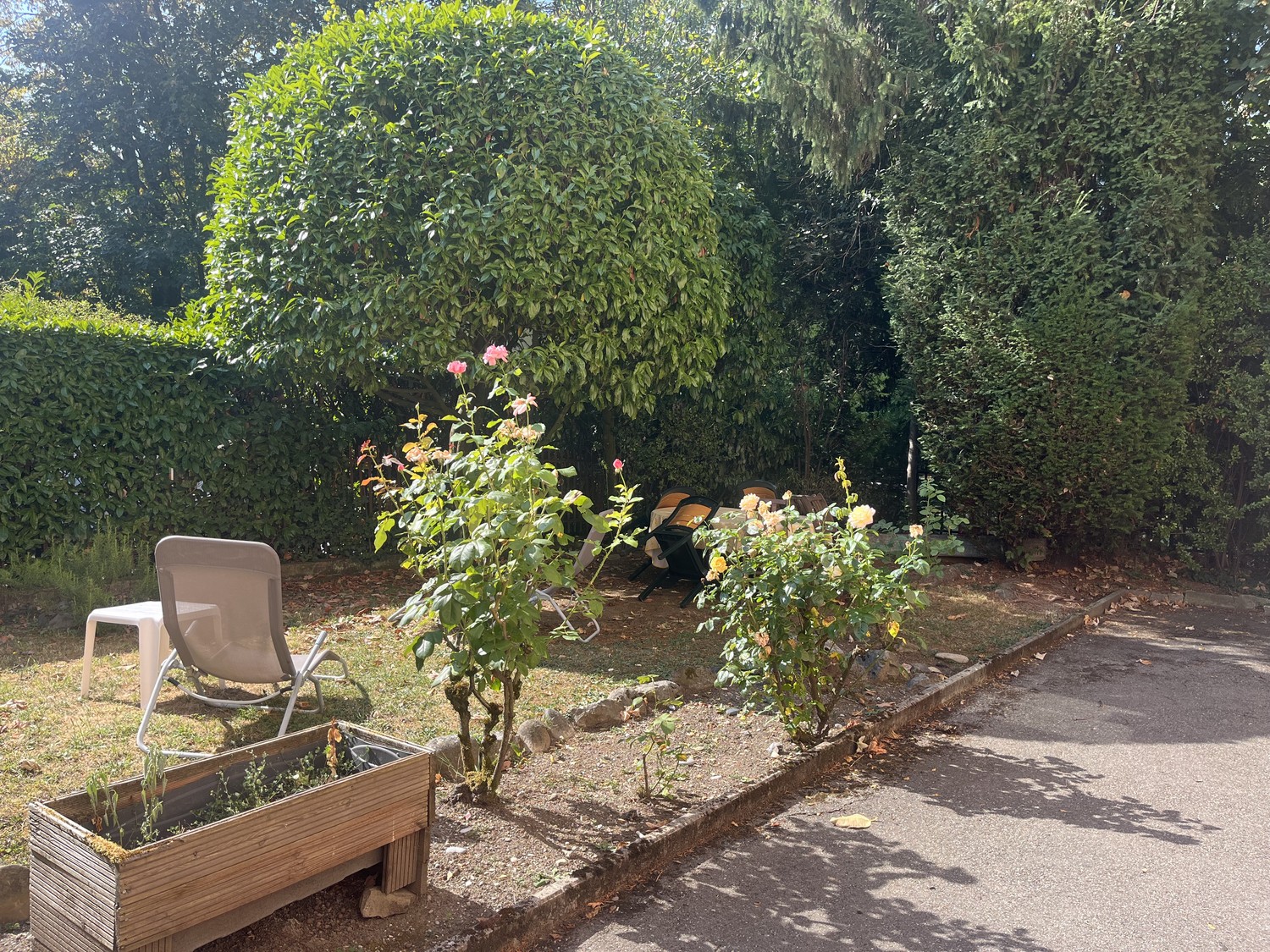 3 ½ Zimmer Wohnung