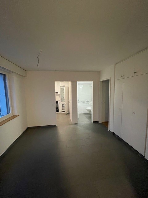 3 ½ locali appartamento in mansarda