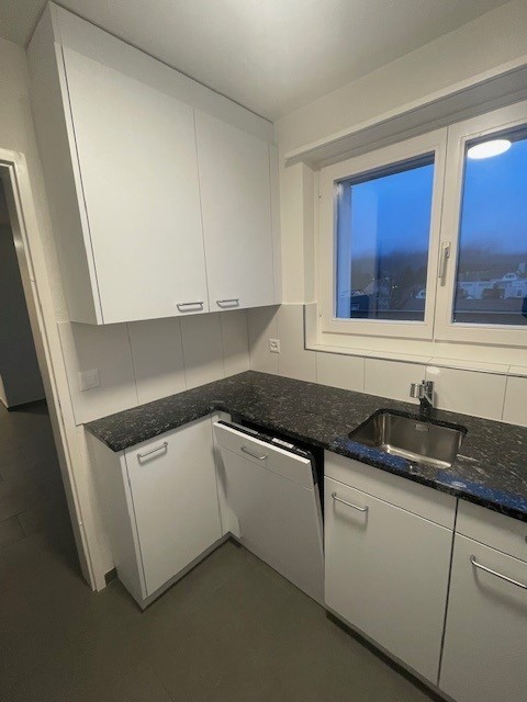 3 ½ locali appartamento in mansarda