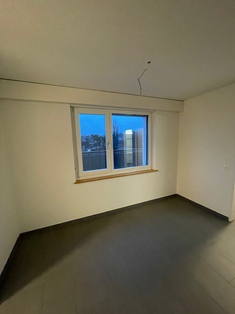 3 ½ locali appartamento in mansarda
