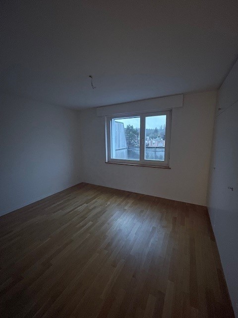 3 ½ locali appartamento in mansarda