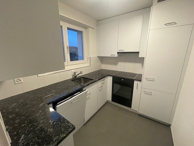 3 ½ locali appartamento in mansarda