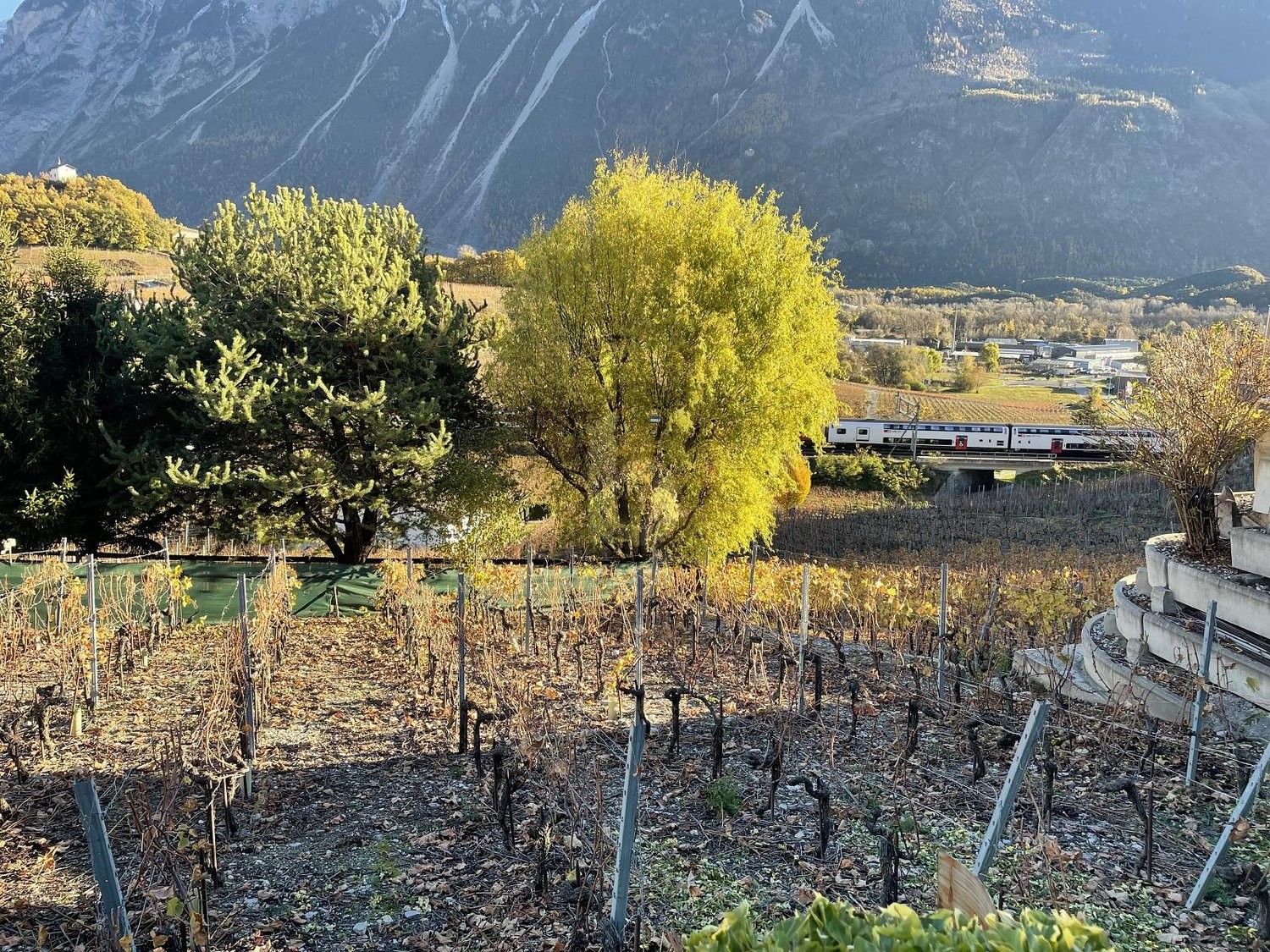 958m² building land