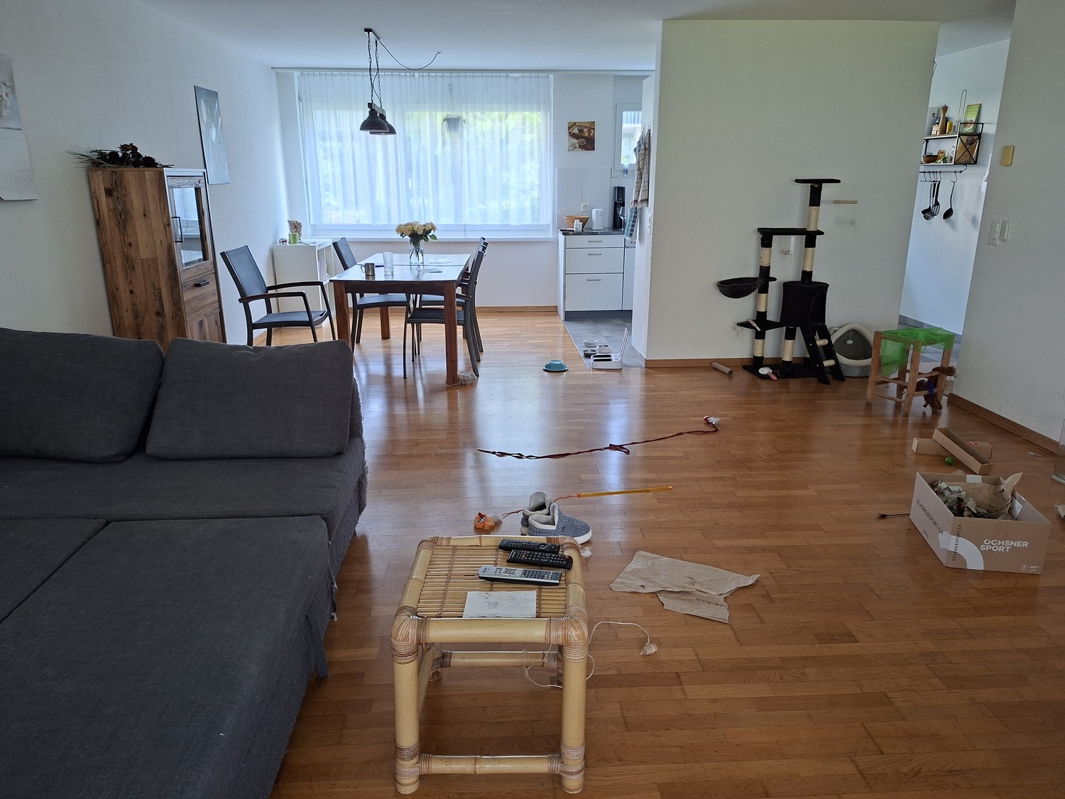 Room in a shared flat