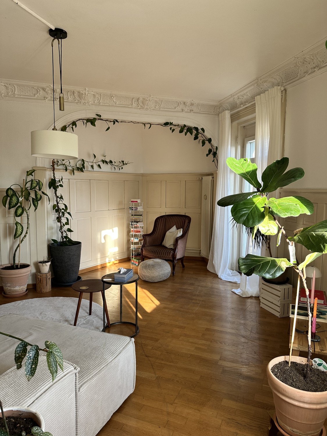 Room in a shared flat