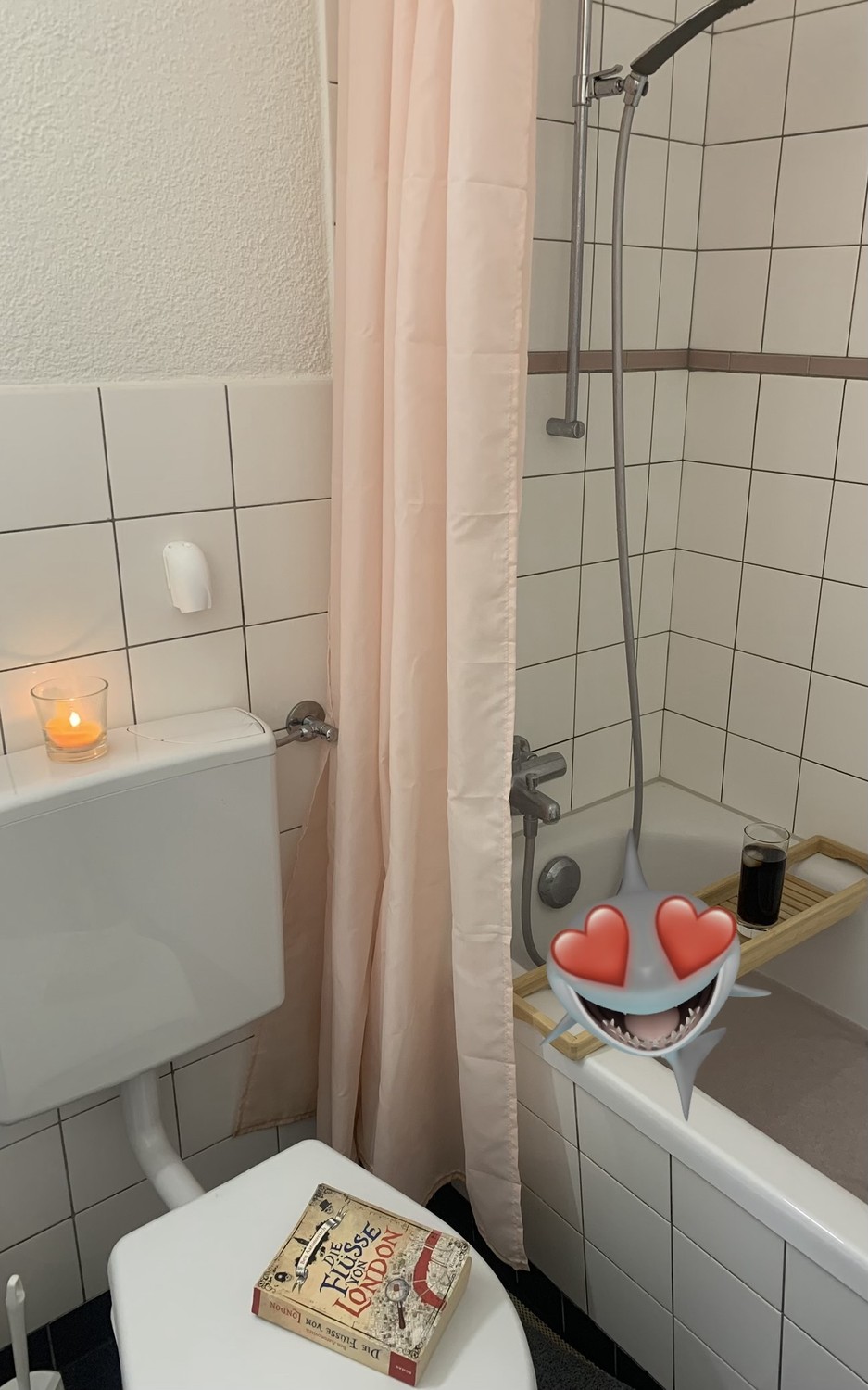 2 ½ rooms apartment