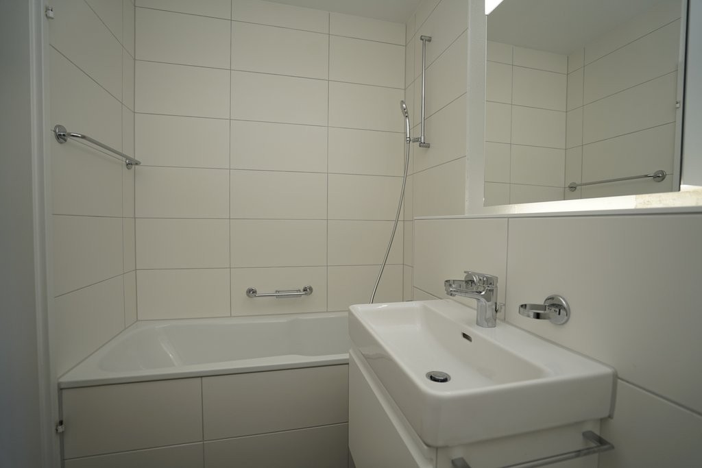 3 ½ rooms apartment (4)