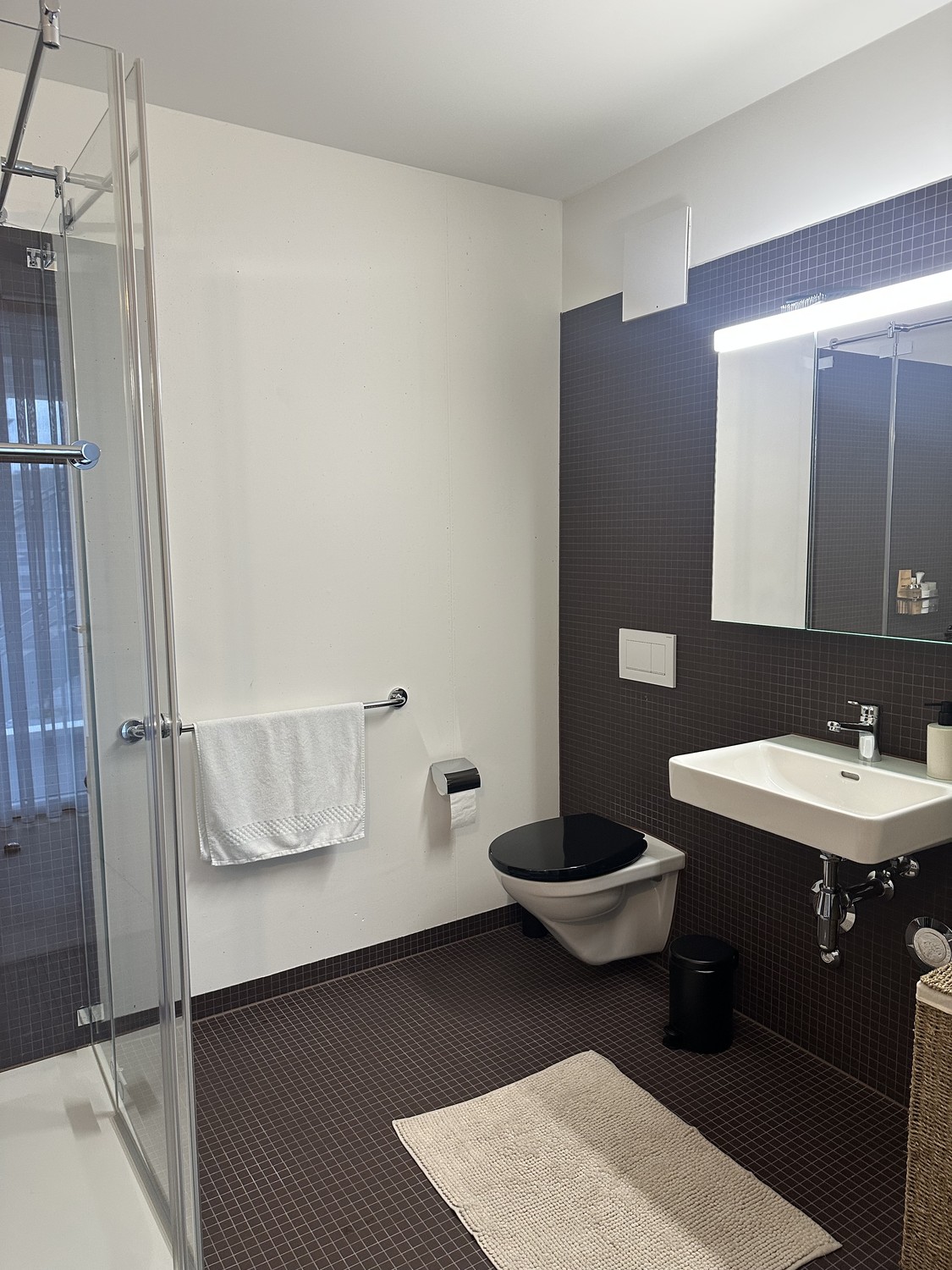 Appartement de 2 ½ pièces