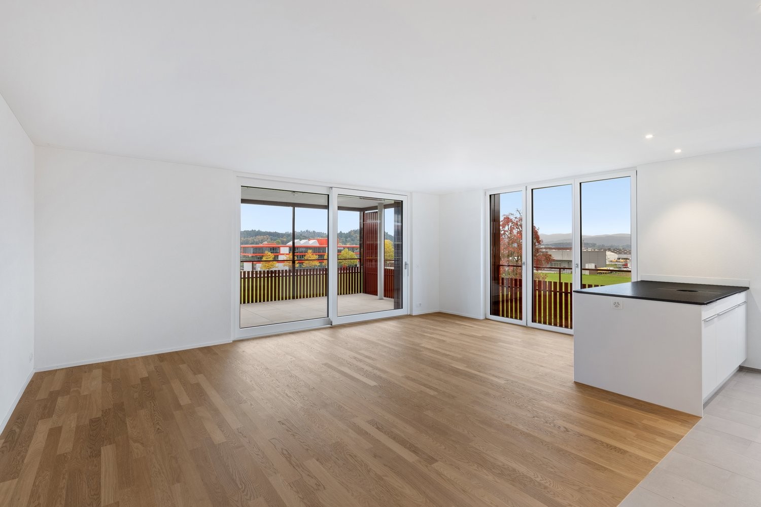 4 ½ rooms apartment