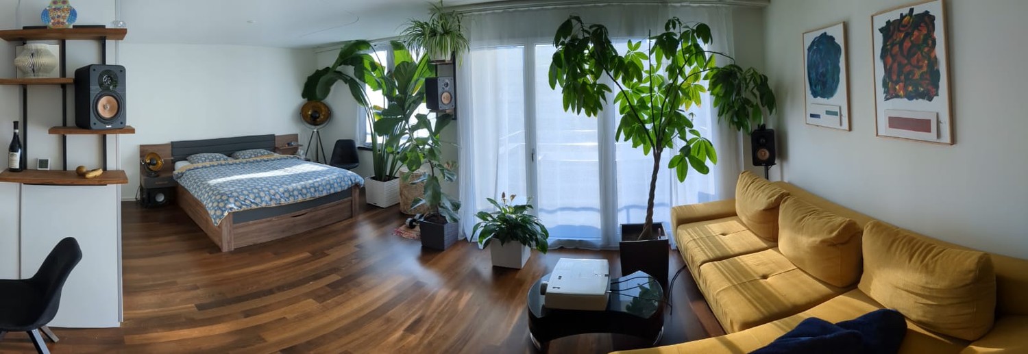 1 room apartment, Foto 1 von 4