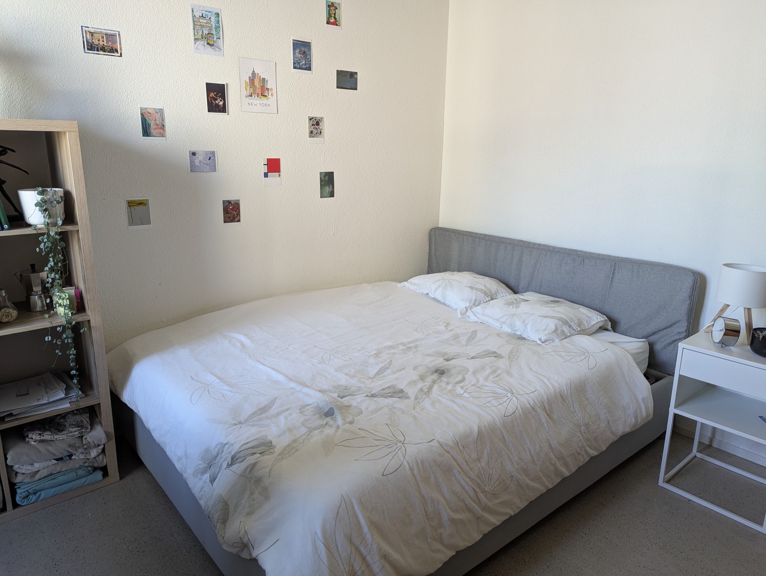 Room in a shared flat