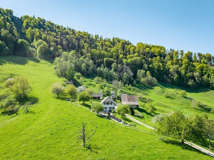 8 rooms single house, Foto 8 von 8