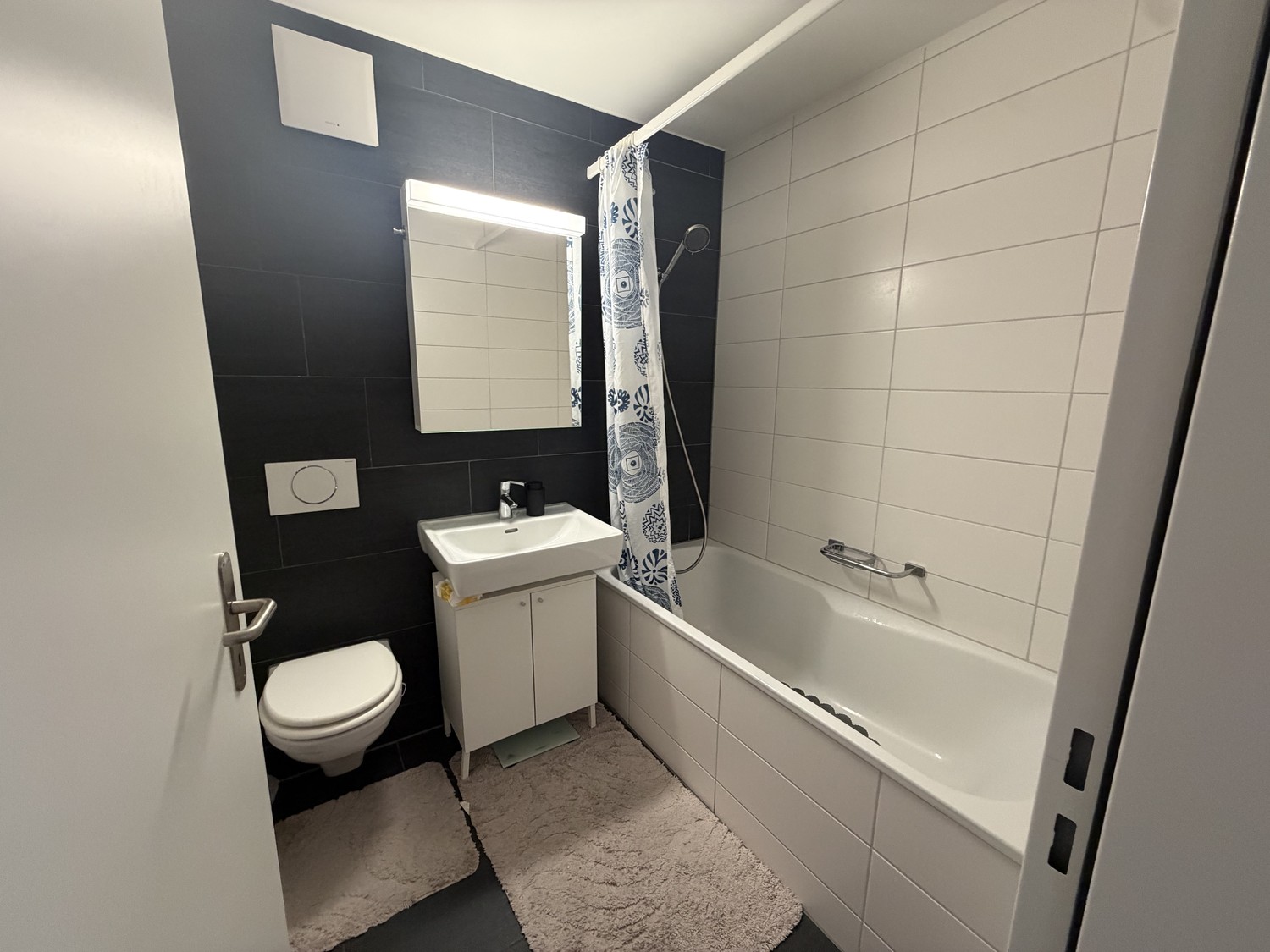 Appartement de 3 ½ pièces