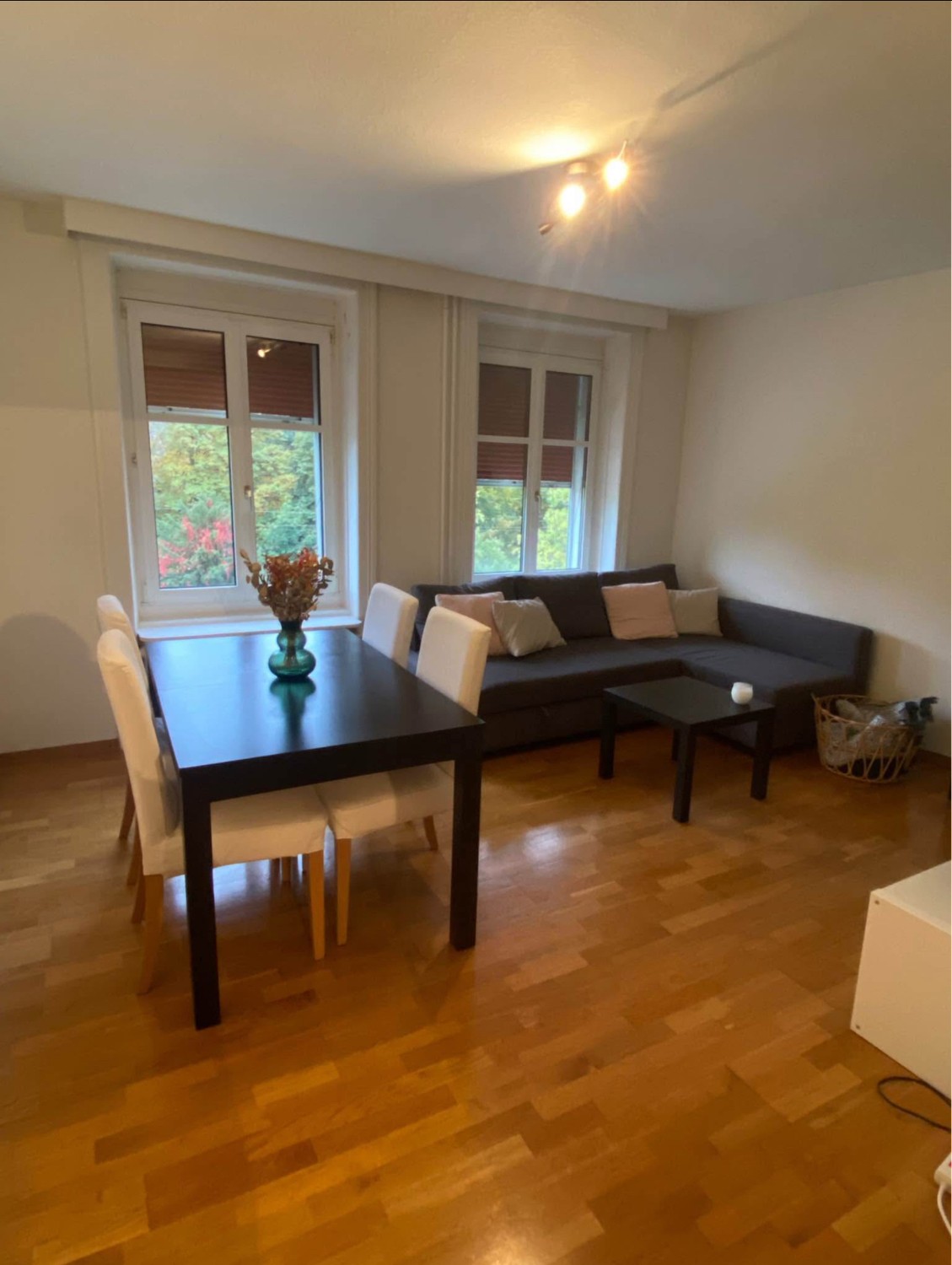 Room in a shared flat