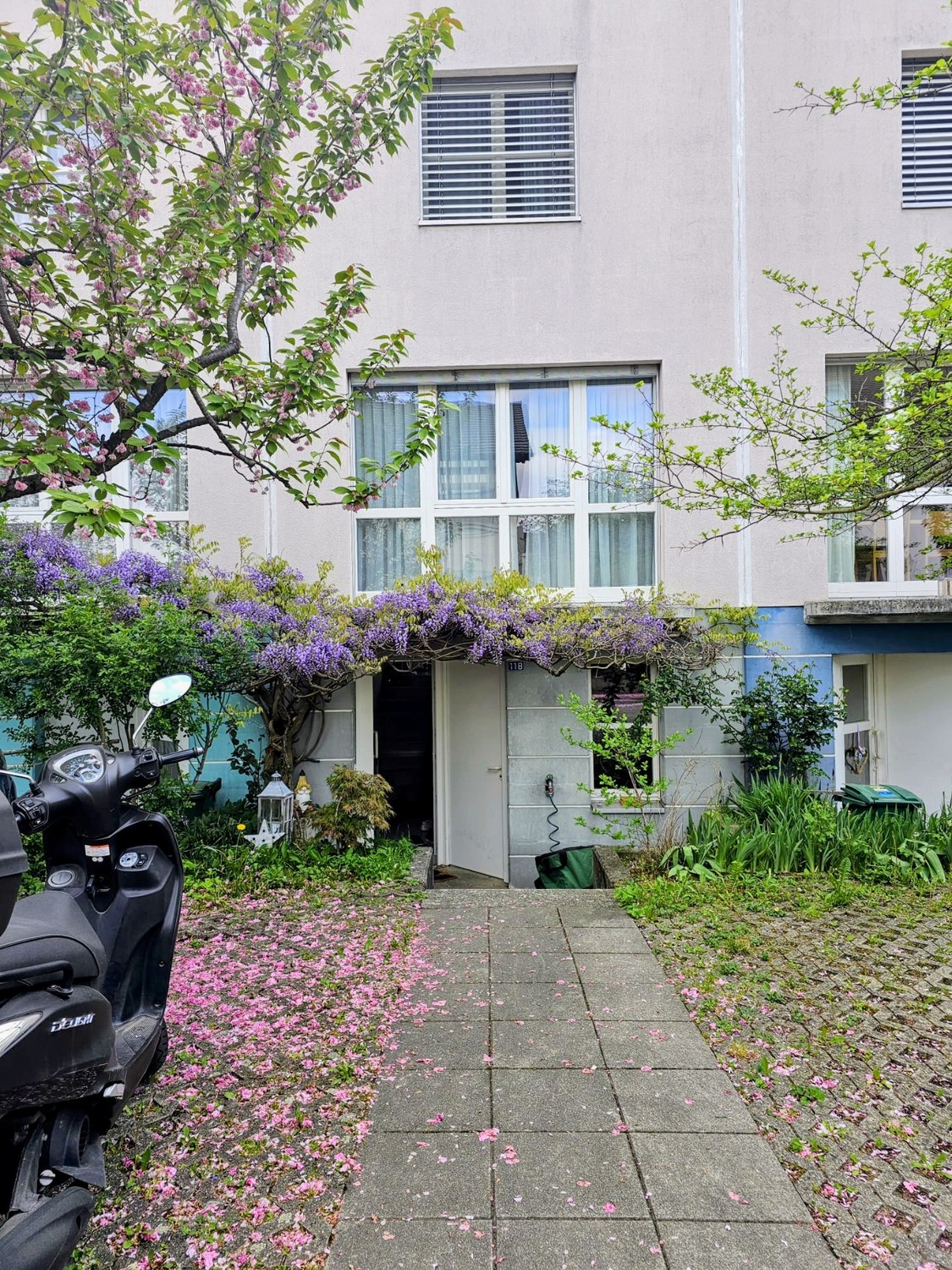6 rooms single house