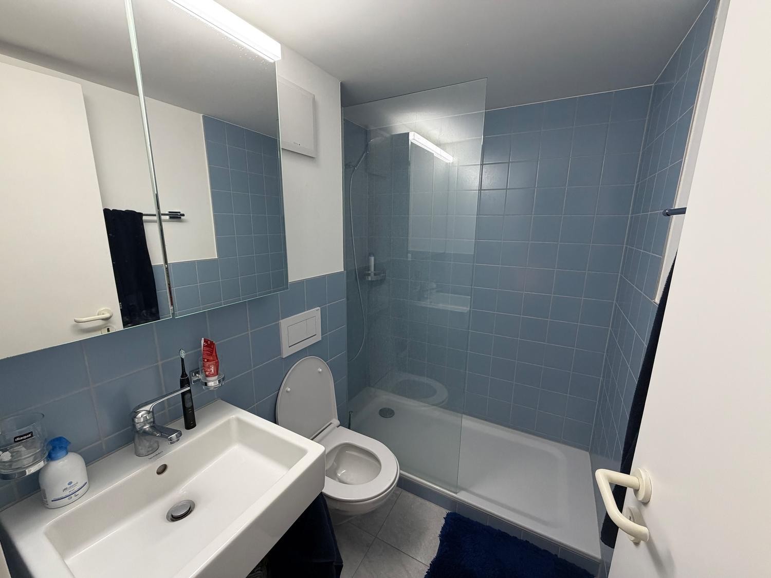 2 ½ Zimmer-Wohnung