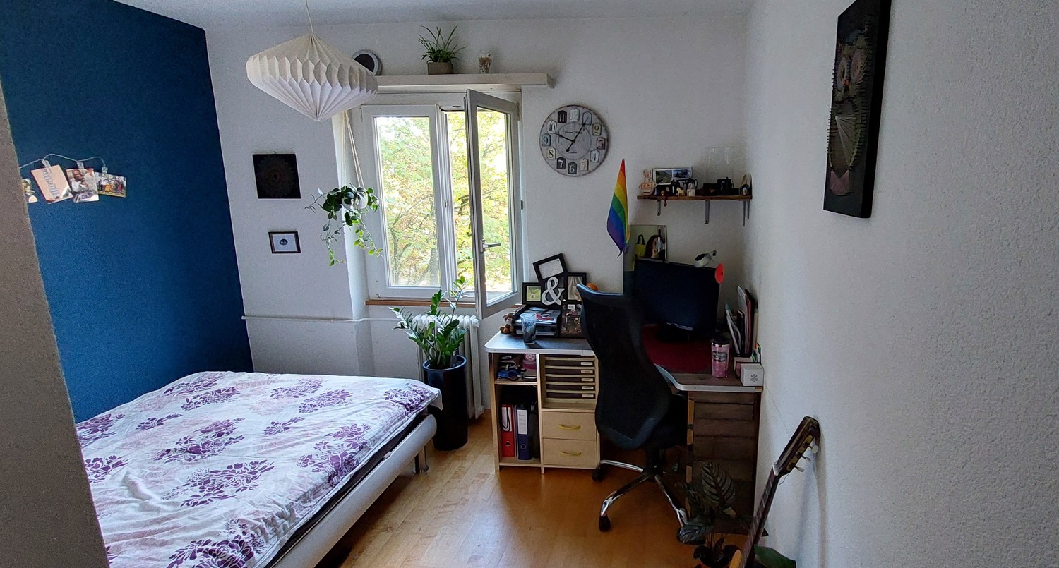 Room in a shared flat