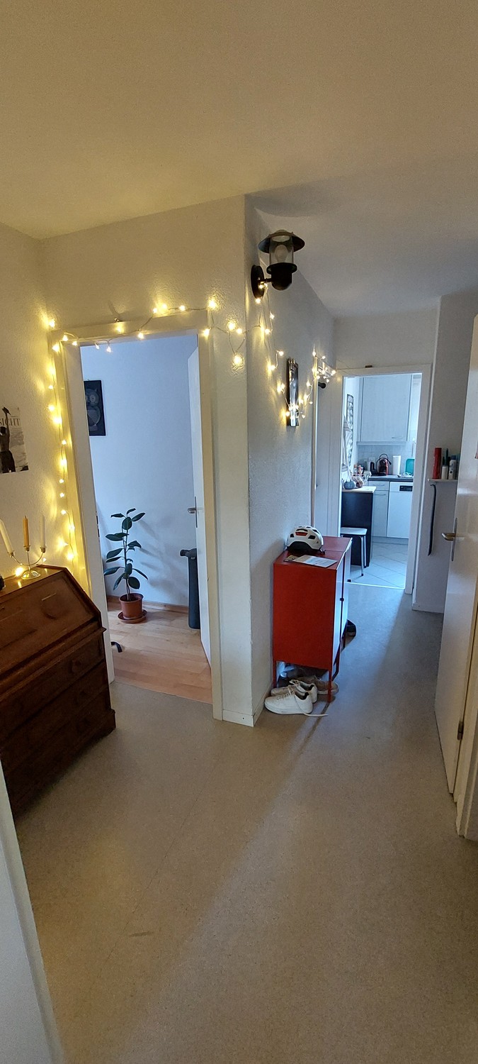 Room in a shared flat