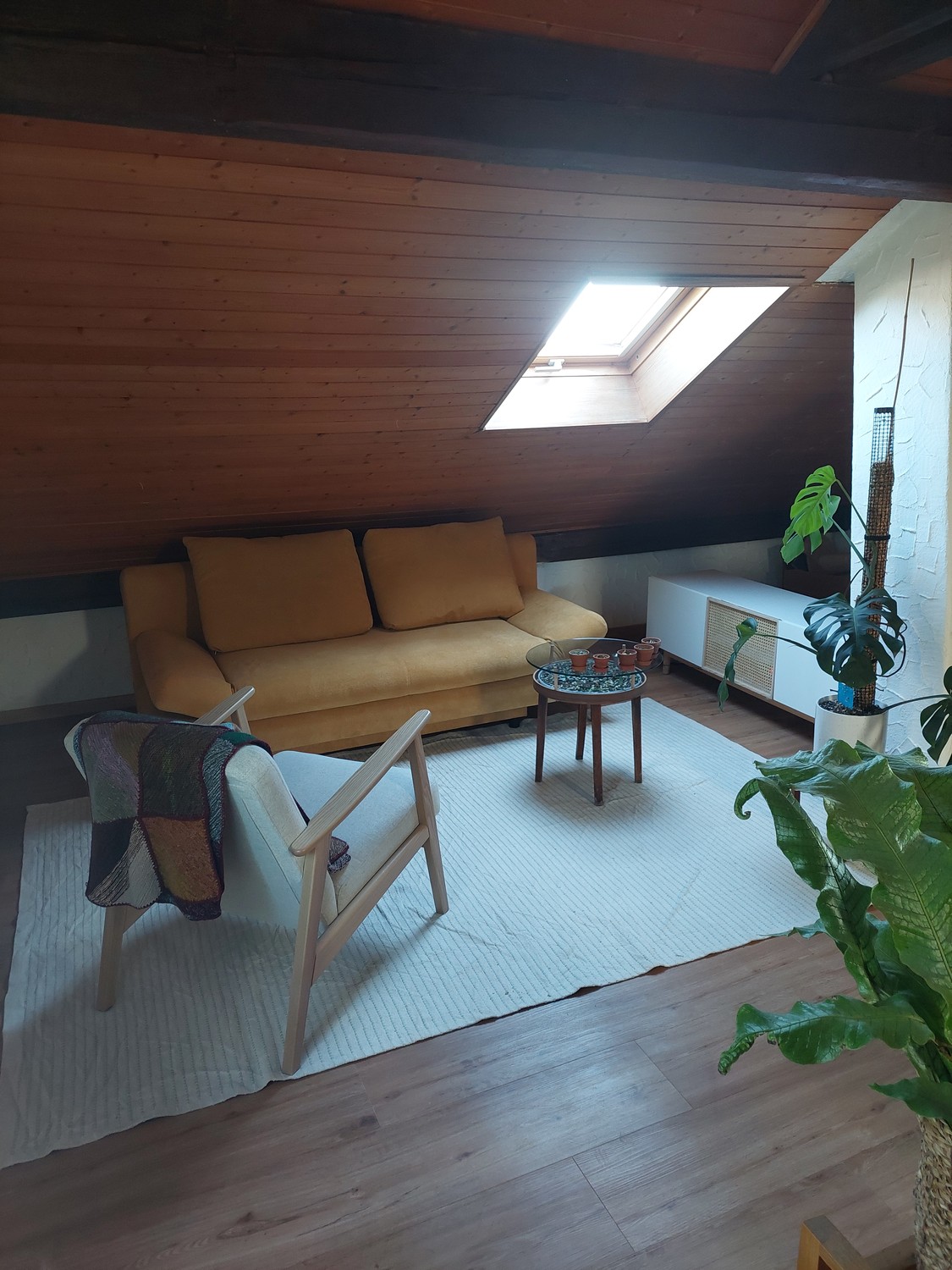 Casa singola con 5 locali
