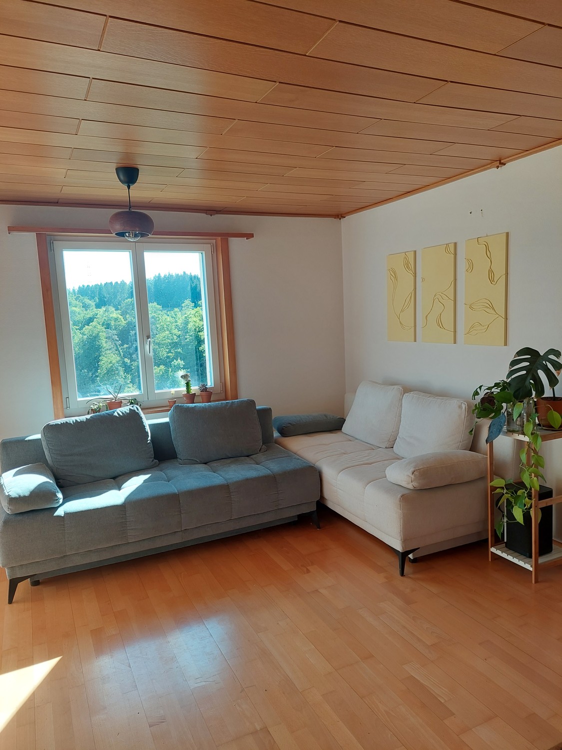 Casa singola con 5 locali
