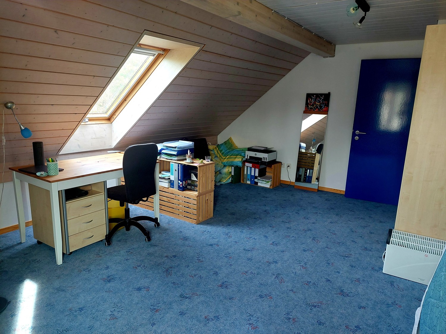 Room in a shared flat