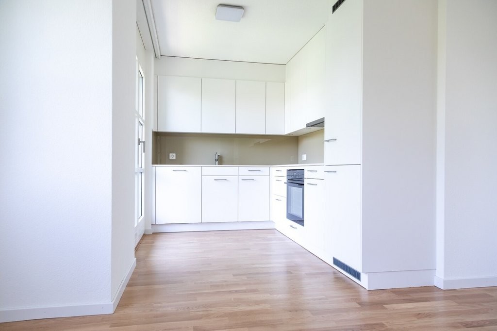 4 ½ rooms apartment (4)