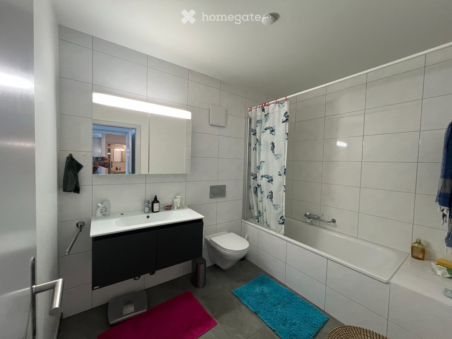 2 ½ Zimmer-Wohnung