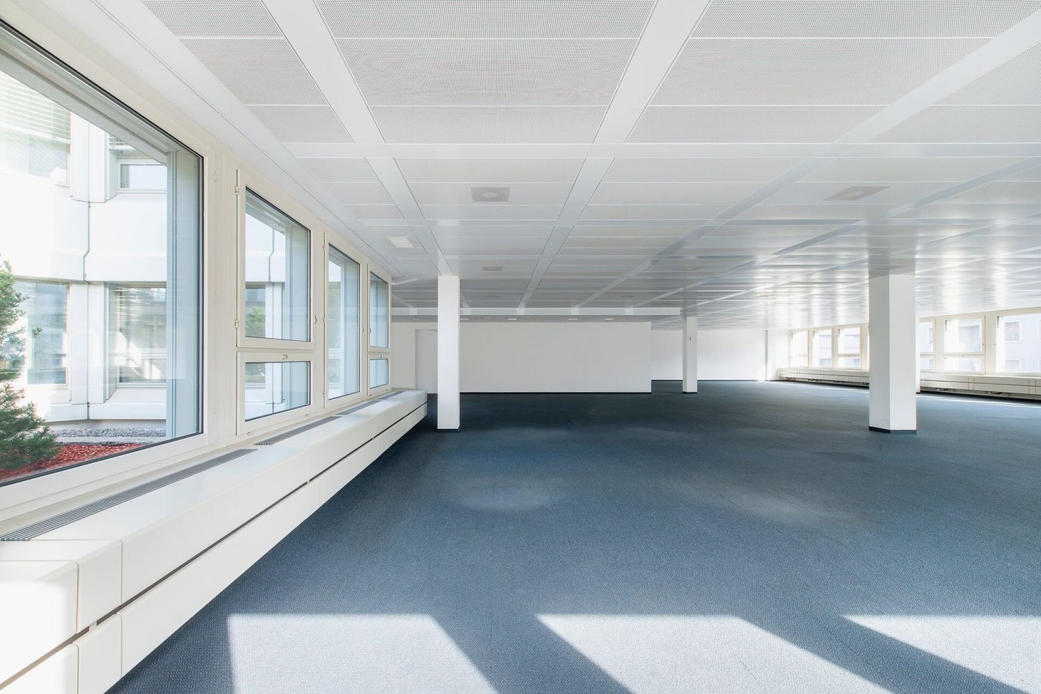1912m² office, Foto 2 von 10