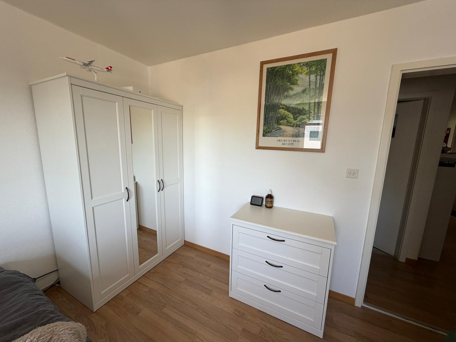 Room in a shared flat