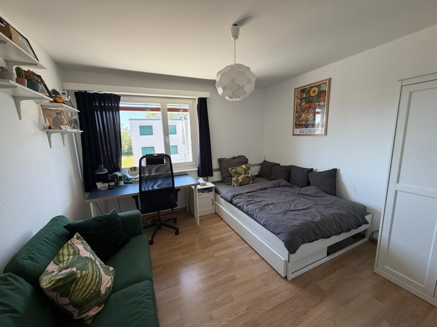 Room in a shared flat