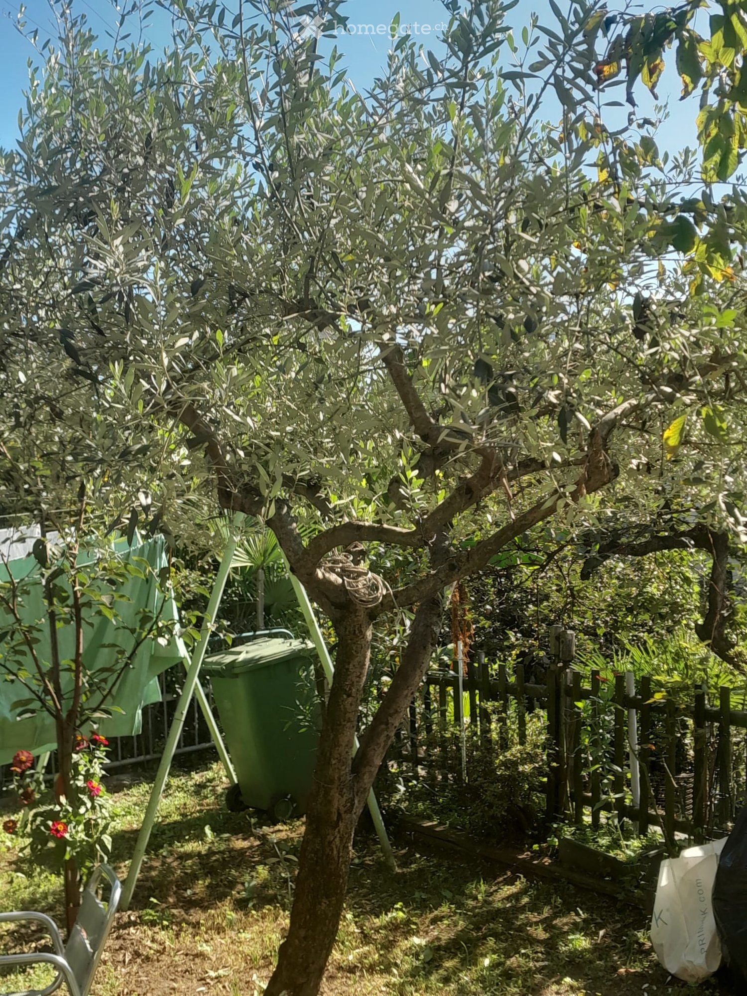 3-Zimmer-Wohnung, Foto 5 von 5