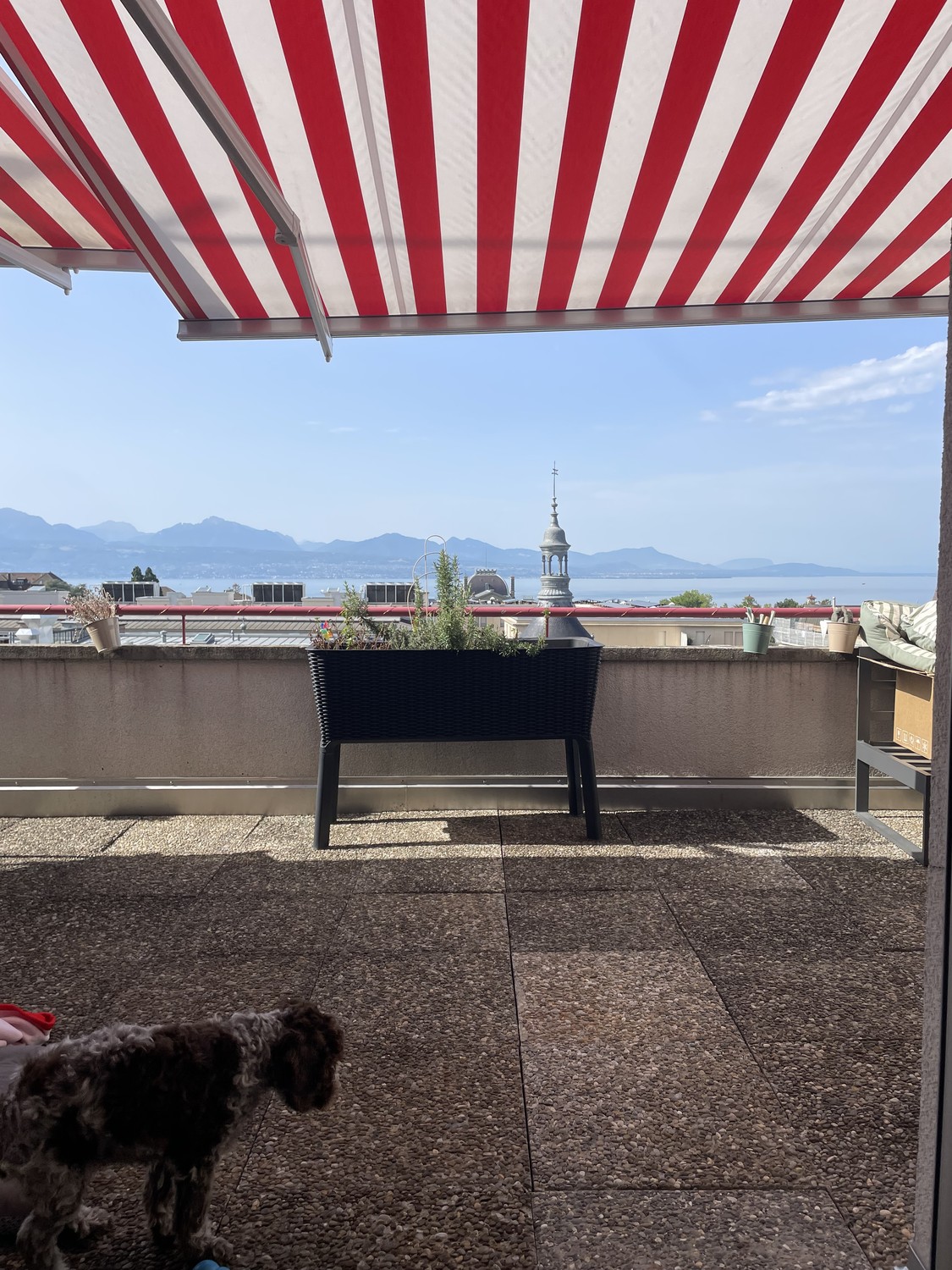 3 ½ Zimmer Wohnung, Foto 4 von 6