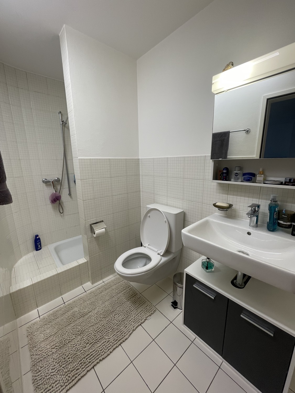 2 ½ rooms apartment