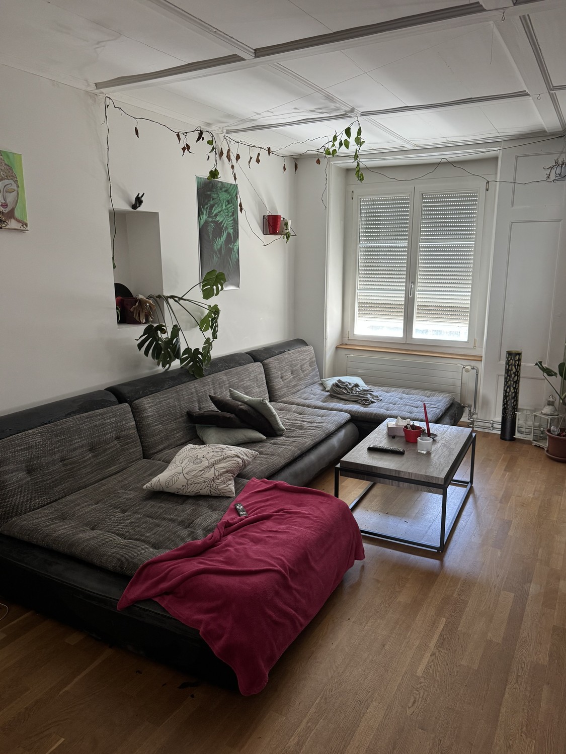 Room in a shared flat