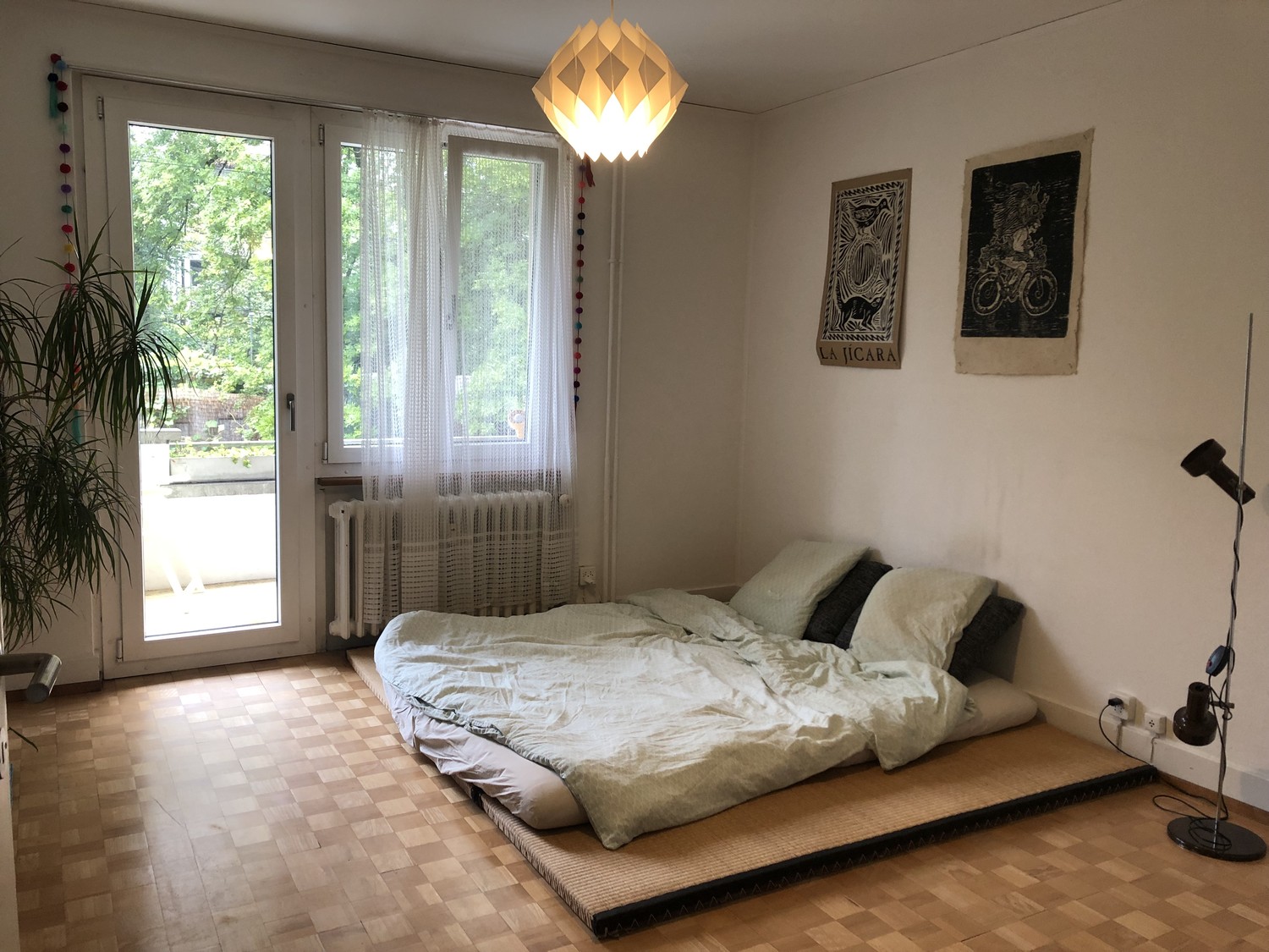 Room in a shared flat