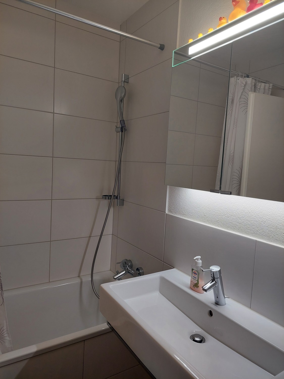 Appartement de 3 ½ pièces