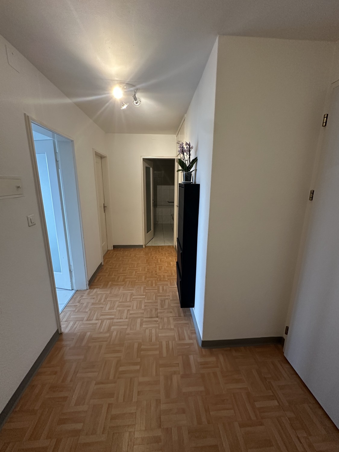 2 ½ Zimmer Wohnung, Foto 10 von 10