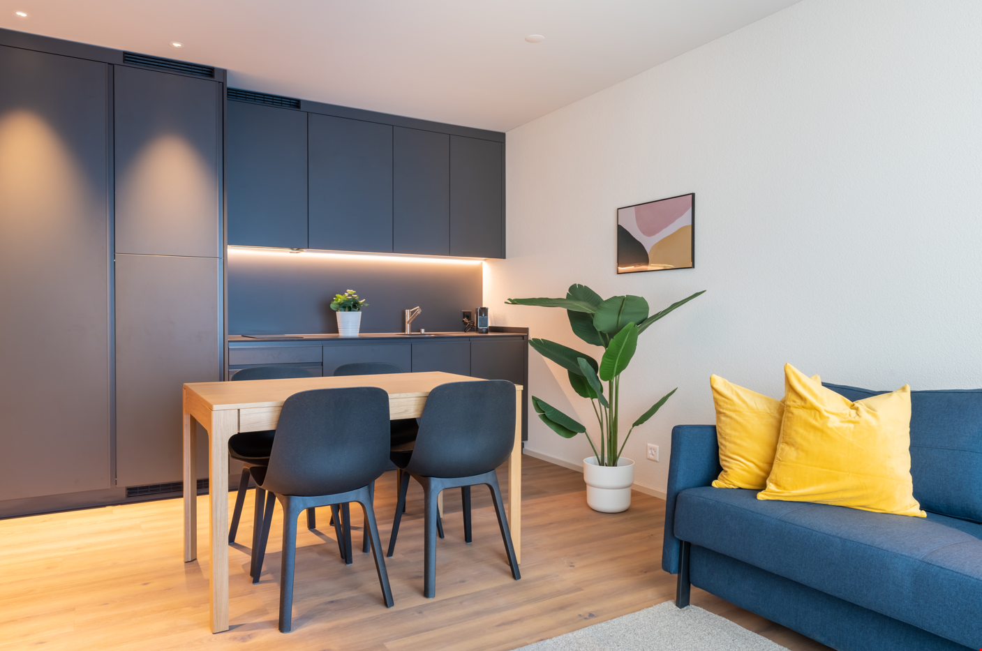 2 ½ rooms furnished flat, photo 2 sur 4