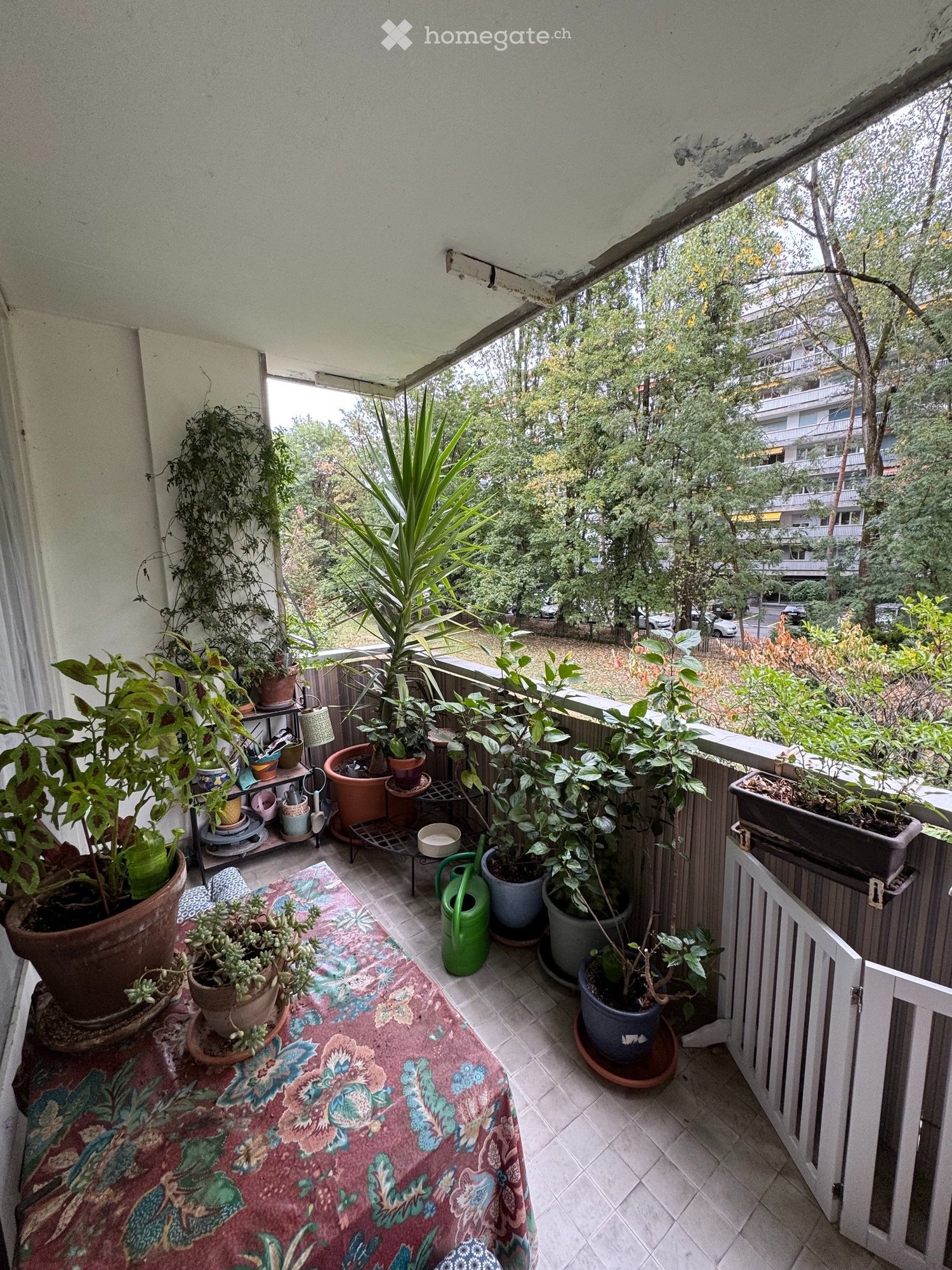 3-Zimmer-Wohnung
