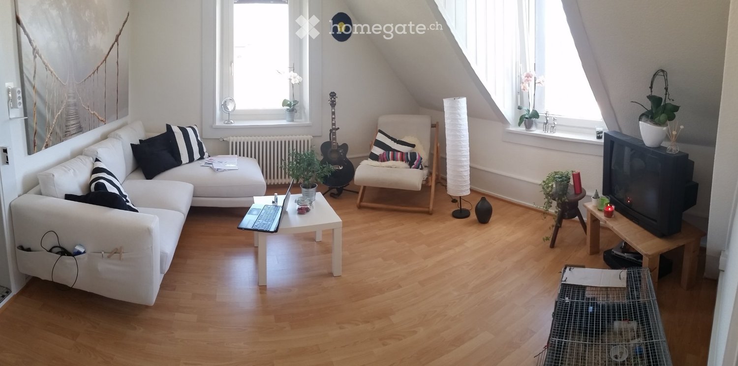 3 ½ Zimmer Wohnung