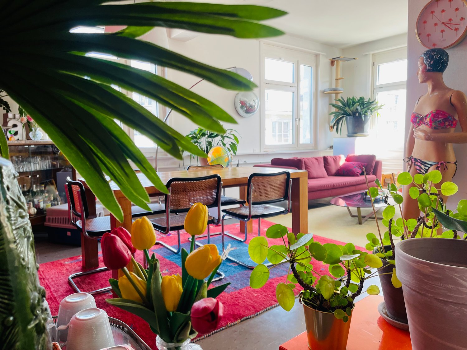 Room in a shared flat