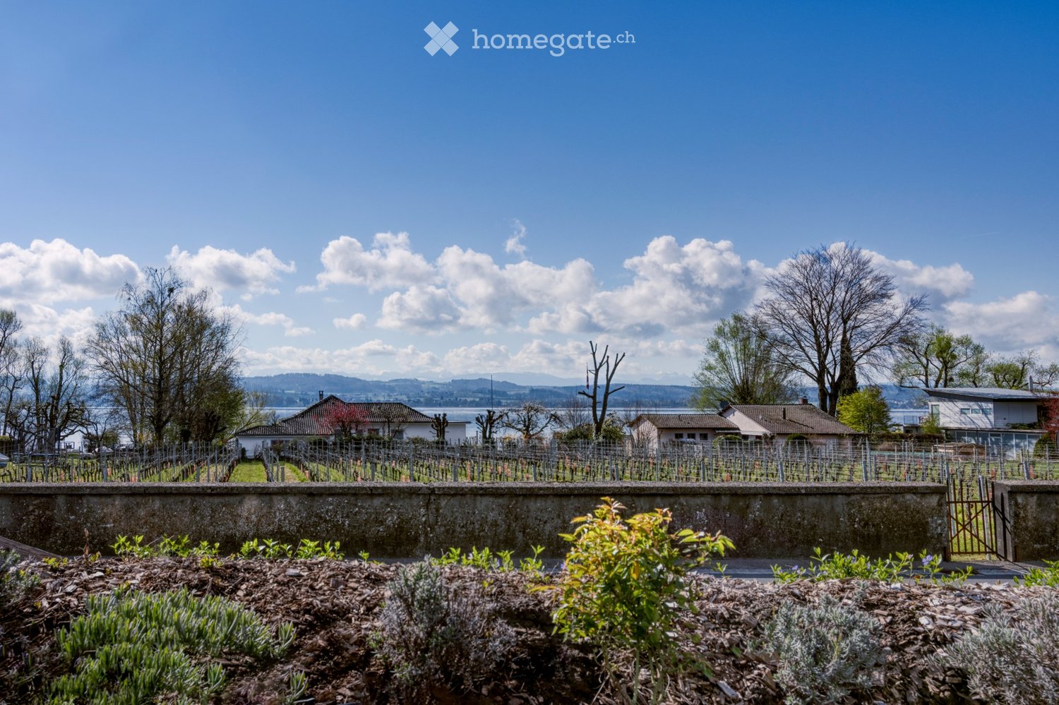 3 ½ Zimmer Wohnung, Foto 4 von 5