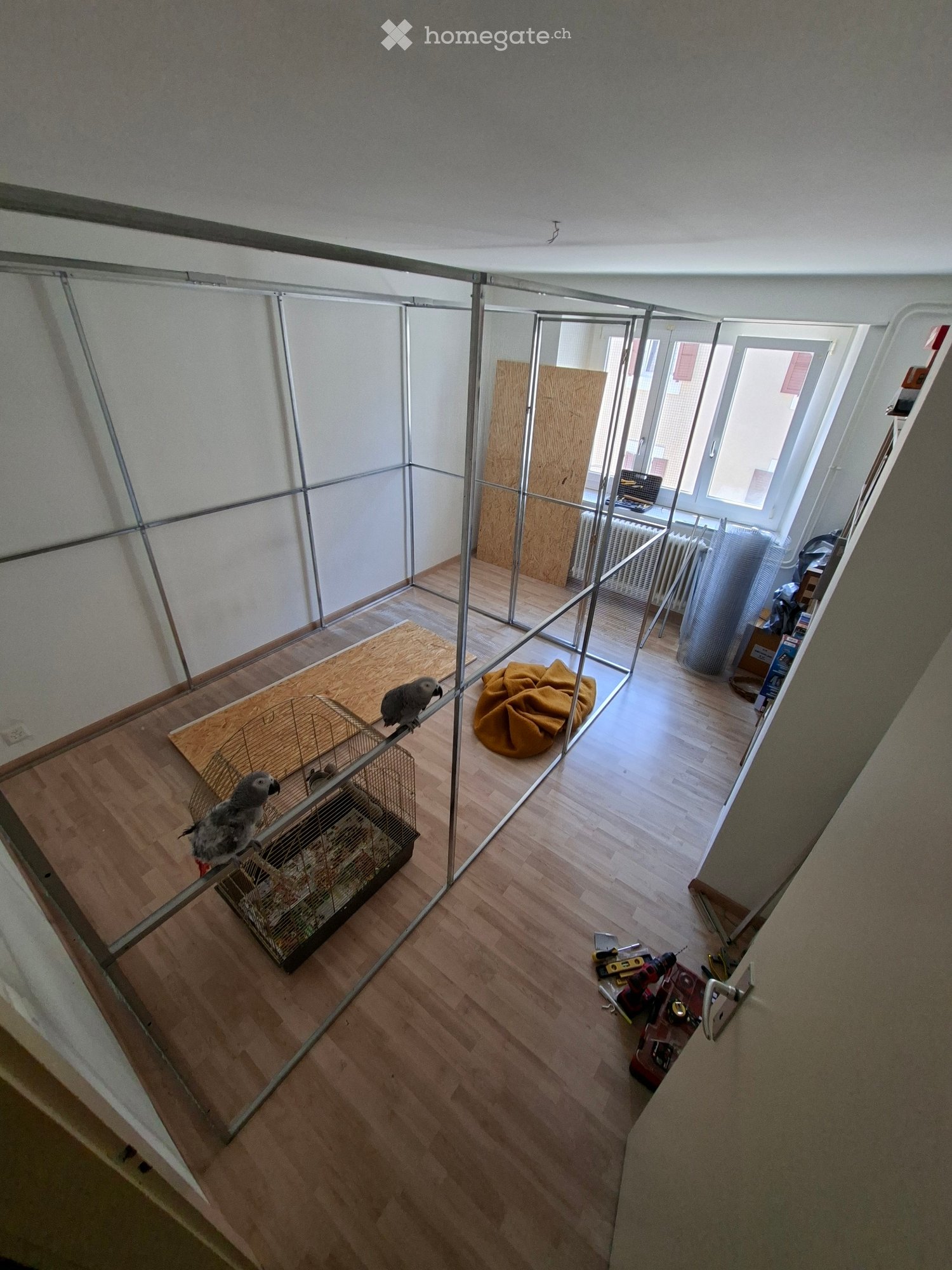 1 Zimmer Einzelzimmer